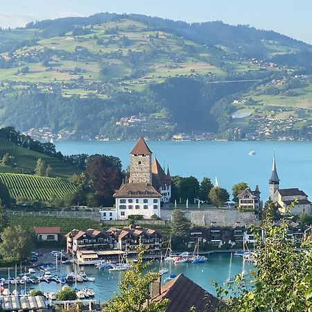 Herrlicher Blick auf Berge und See Faulensee Exterior foto