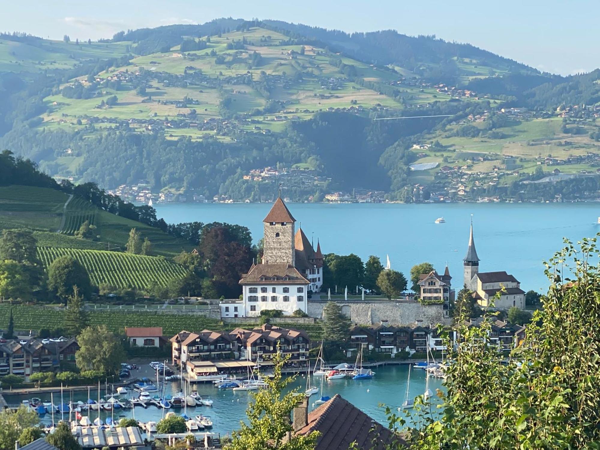 Herrlicher Blick auf Berge und See Faulensee Exterior foto
