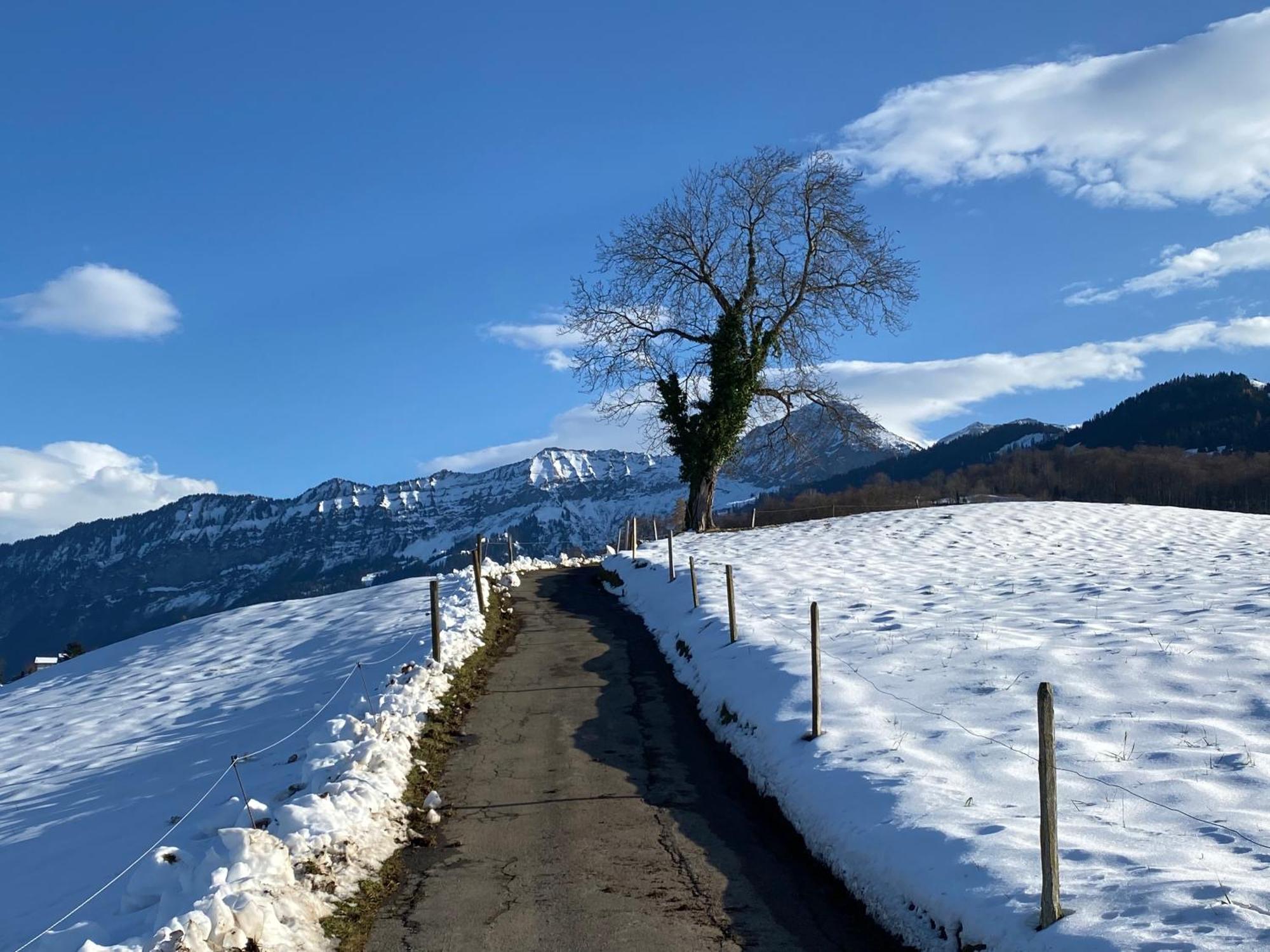 Herrlicher Blick auf Berge und See Faulensee Exterior foto