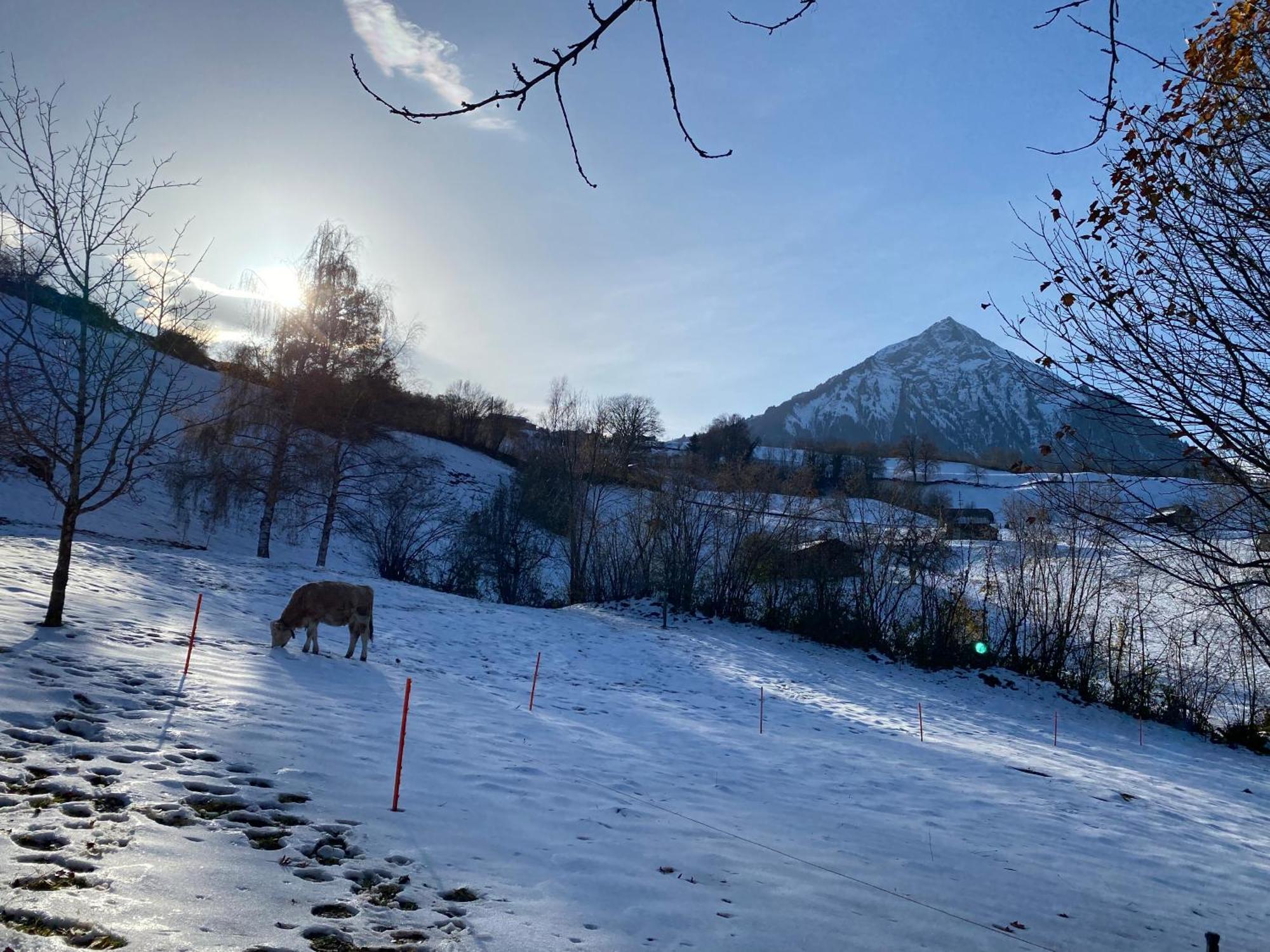 Herrlicher Blick auf Berge und See Faulensee Exterior foto